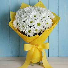 Букет цветов из:  Хризантемы в Шувое
