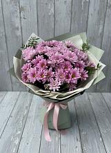 Букет цветов из:  Хризантемы #REPLACE_PRED# Шувое