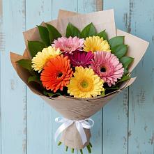Букет цветов из:  Герберы в Шувое