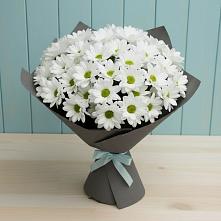 Букет цветов из:  Хризантемы в Шувое