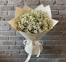 Букет цветов из:  Ромашки в Шувое