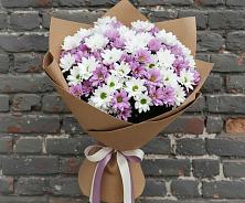 Букет цветов из:  Хризантемы #REPLACE_PRED# Шувое