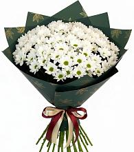 Букет цветов из:  Хризантемы #REPLACE_PRED# Шувое