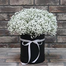 Цветочная композиция из Гипсофила в шляпной коробке в Шувое